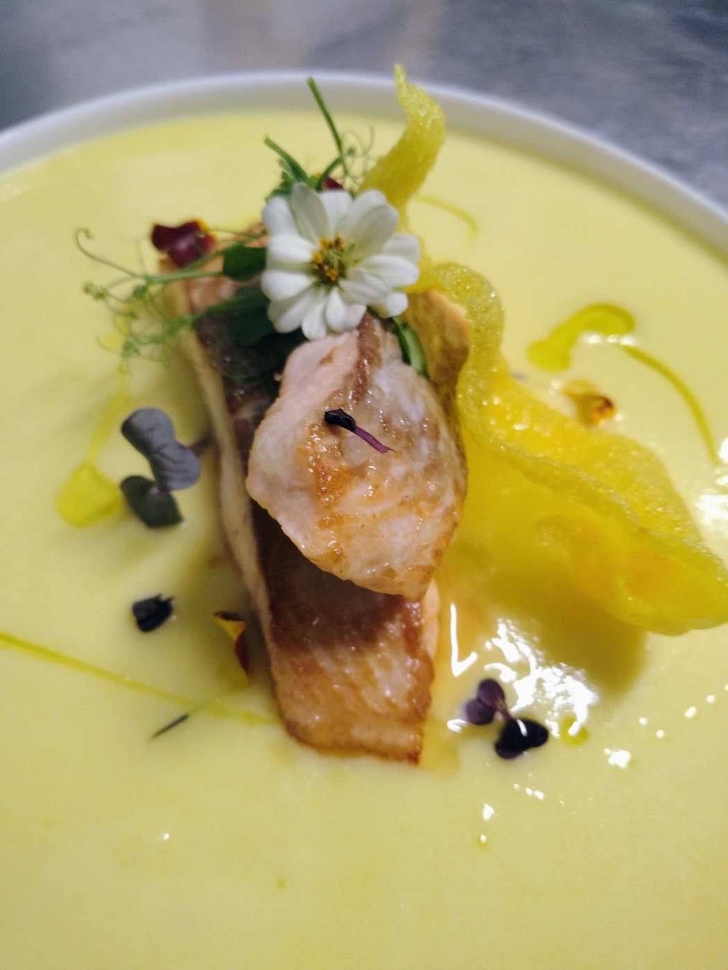 1000040772.jpg 1000040772.jpg