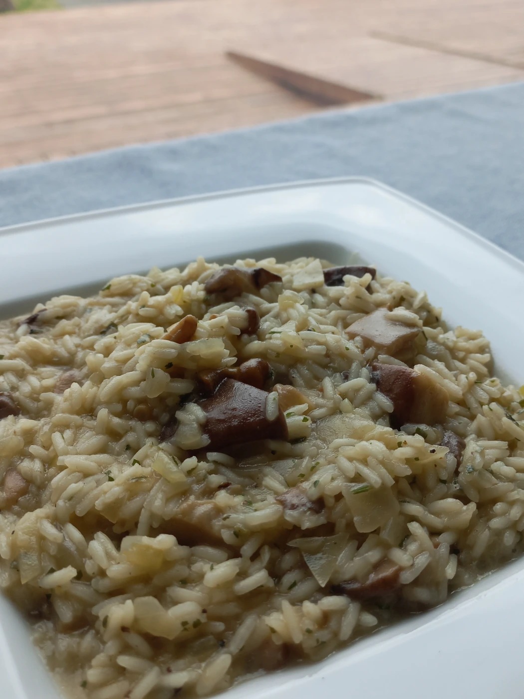 20220427_135714.jpg 20220427_135714.jpg