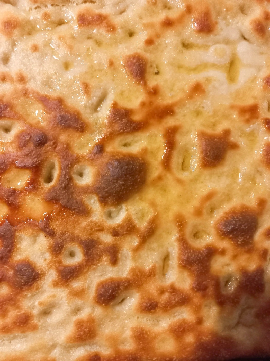 20240130_194534.jpg 20240130_194534.jpg