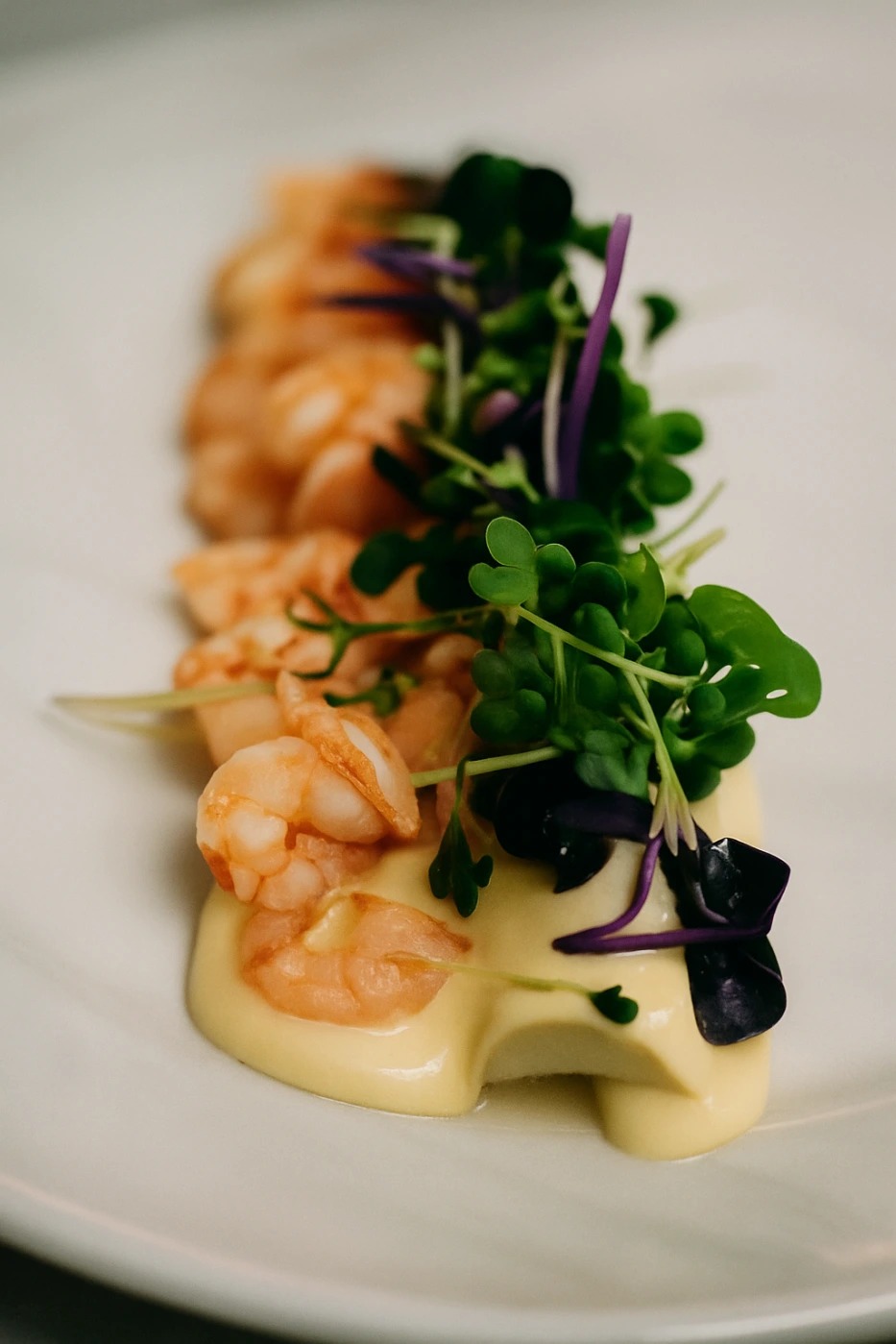 ChatGPT Image 27. aug. 2025, 19.12.03.png