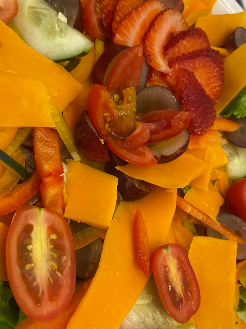 IMG_6408.jpeg IMG_6408.jpeg