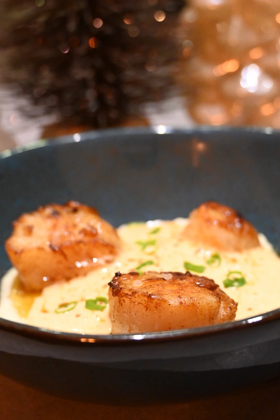 DSC_4632.JPG DSC_4632.JPG