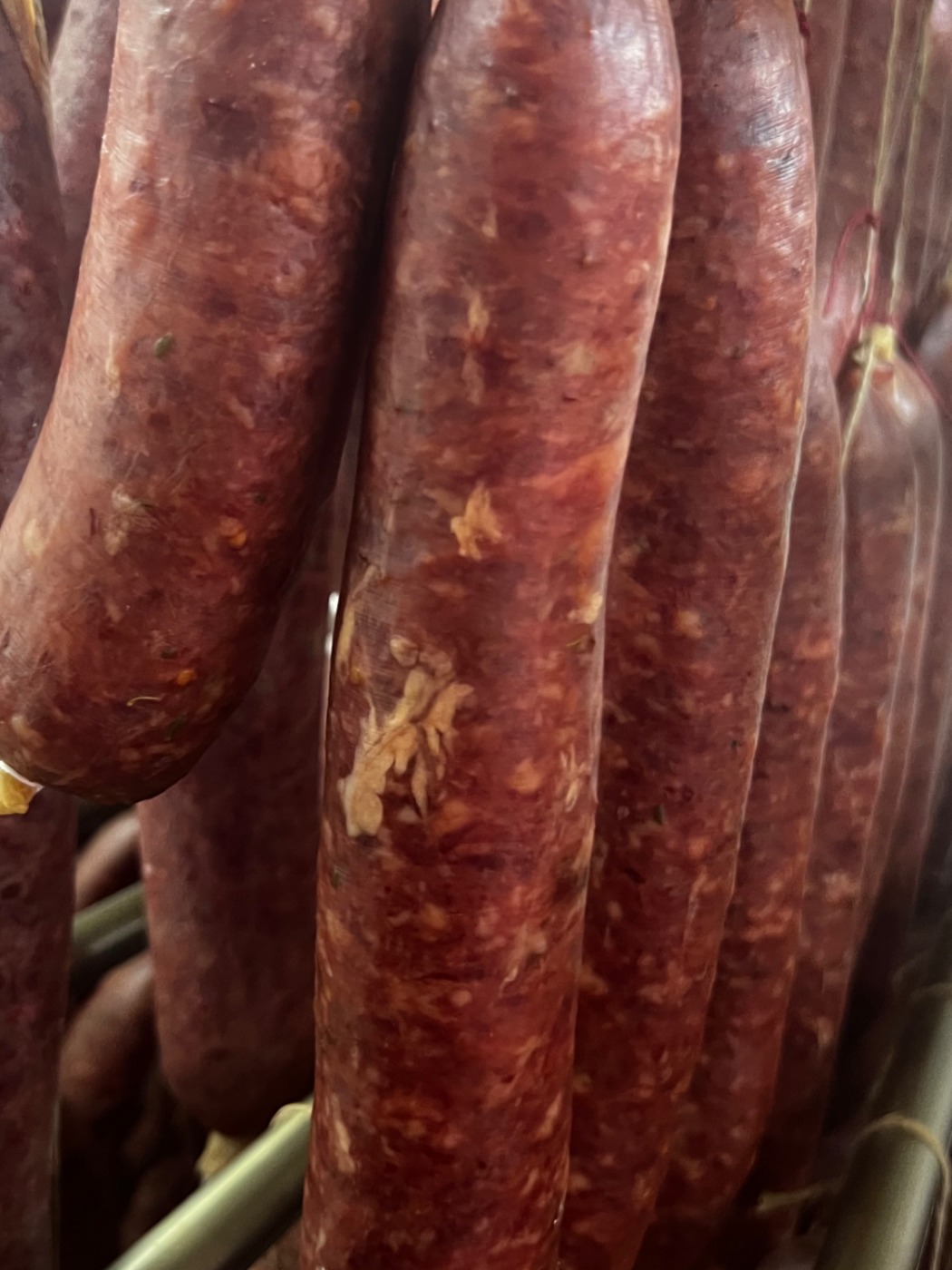 tempImage22K7bN.jpg tempImage22K7bN.jpg