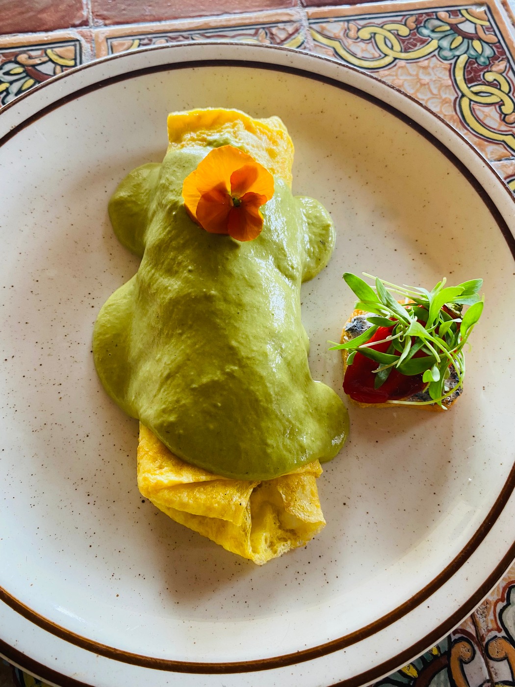 IMG_0116.jpeg IMG_0116.jpeg