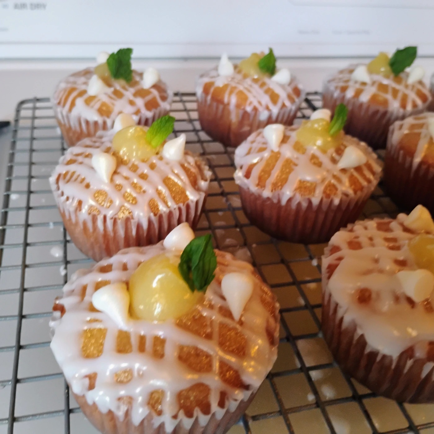 1000008806.jpg 1000008806.jpg