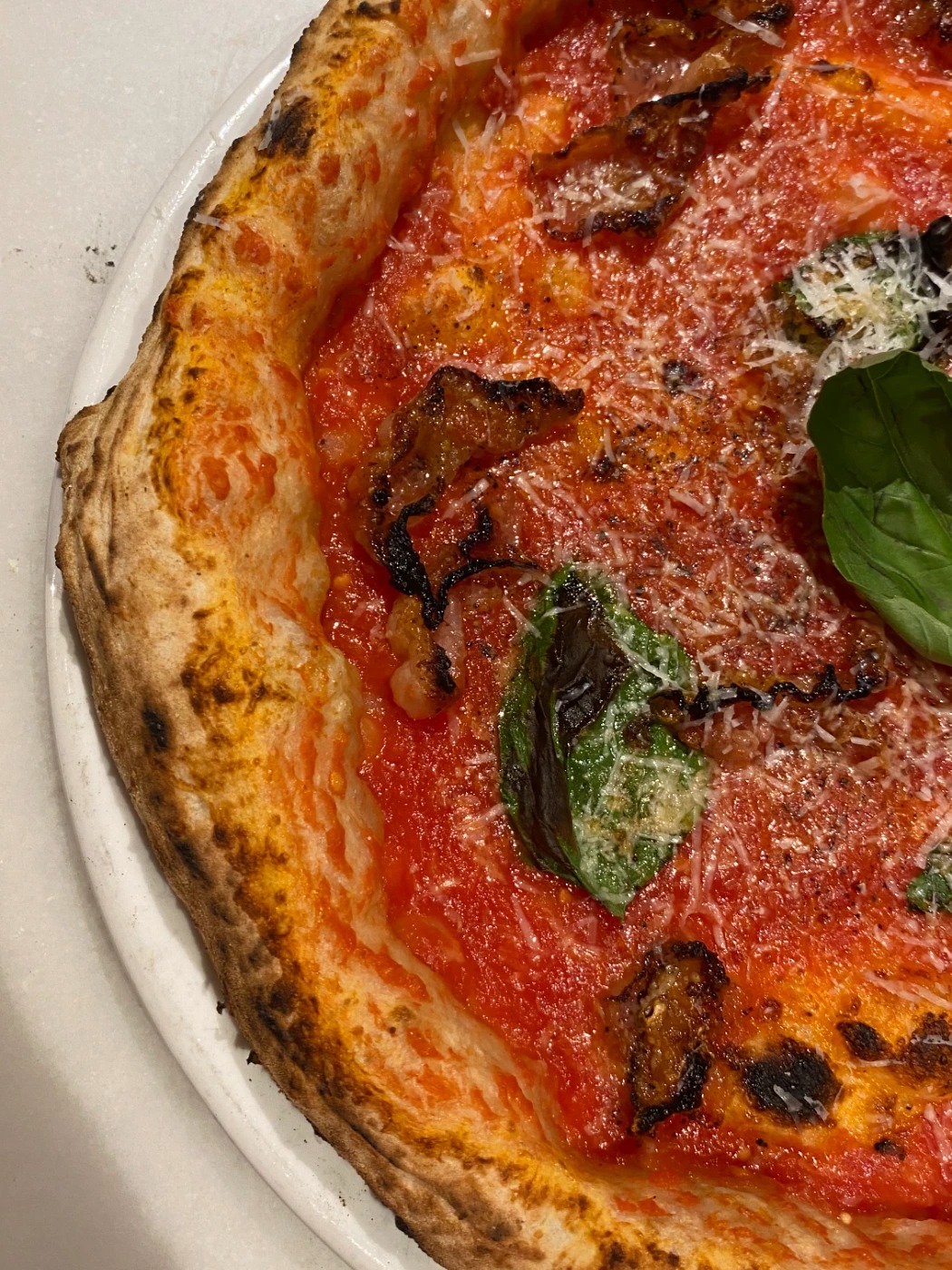 IMG_0211.jpeg IMG_0211.jpeg