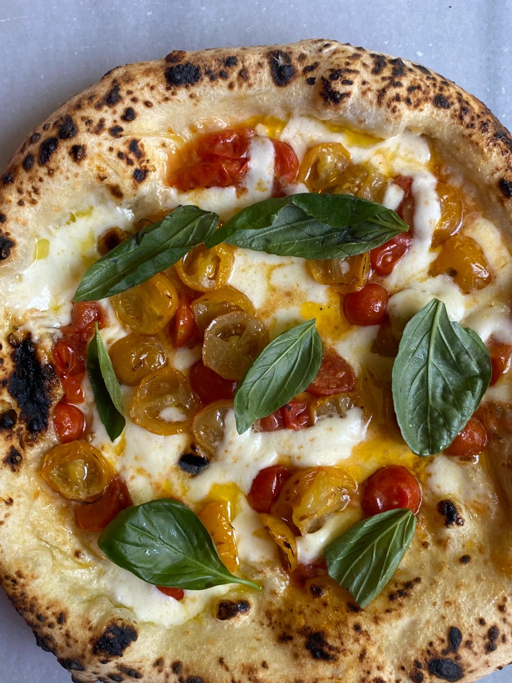 IMG_8662.jpeg IMG_8662.jpeg