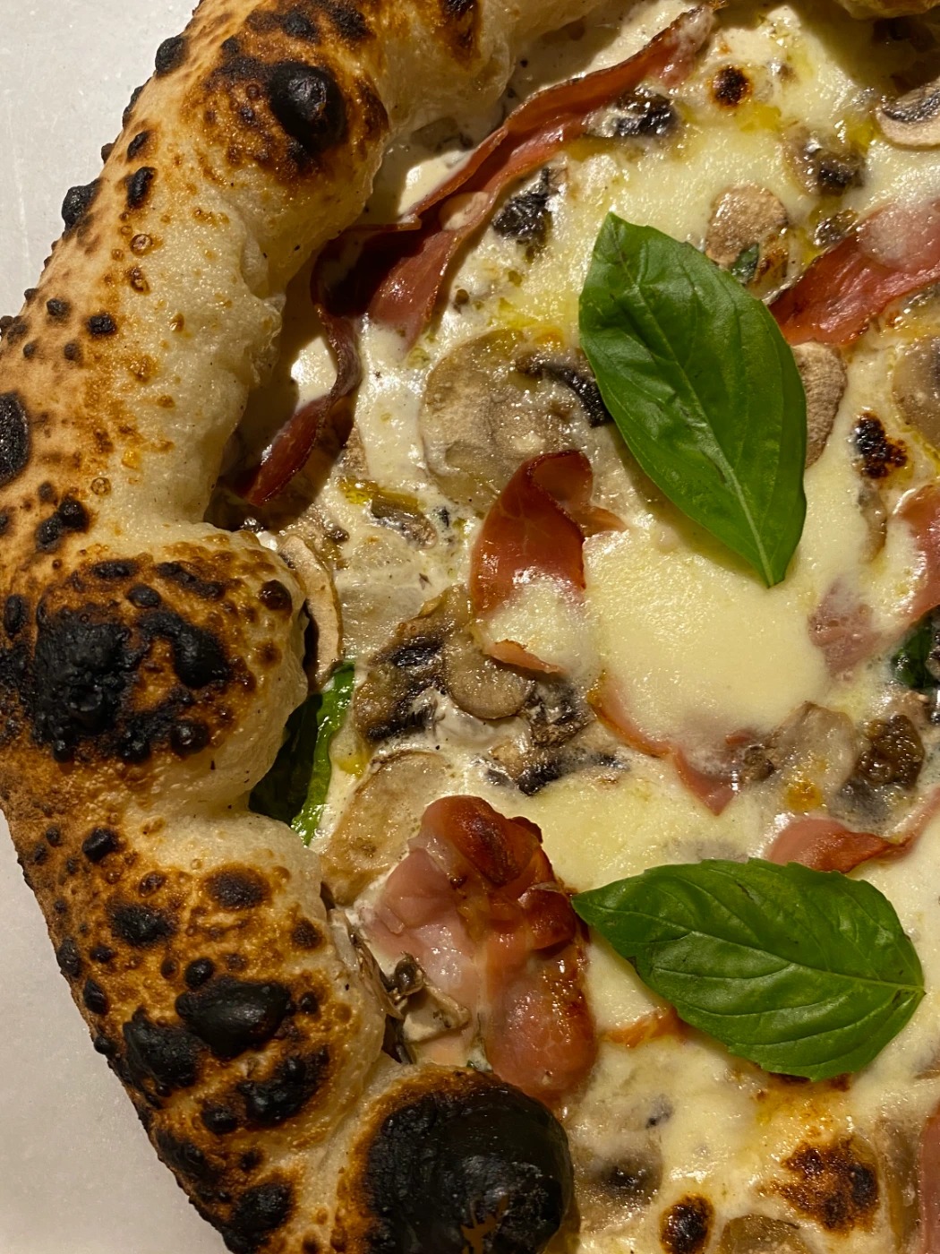 IMG_9673.jpeg IMG_9673.jpeg