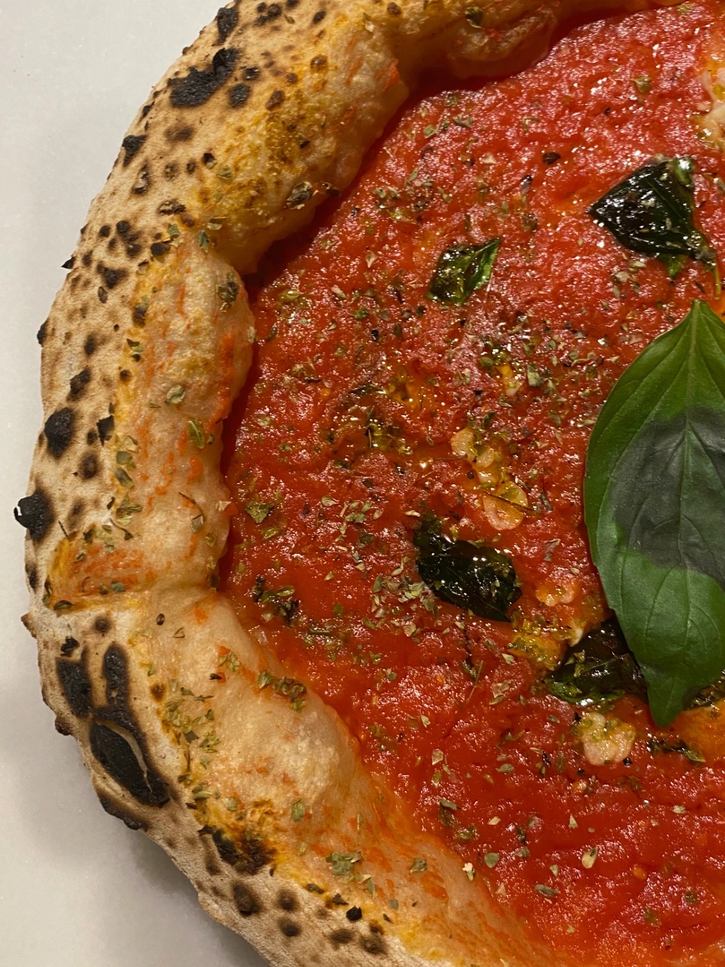 IMG_9713.jpeg IMG_9713.jpeg