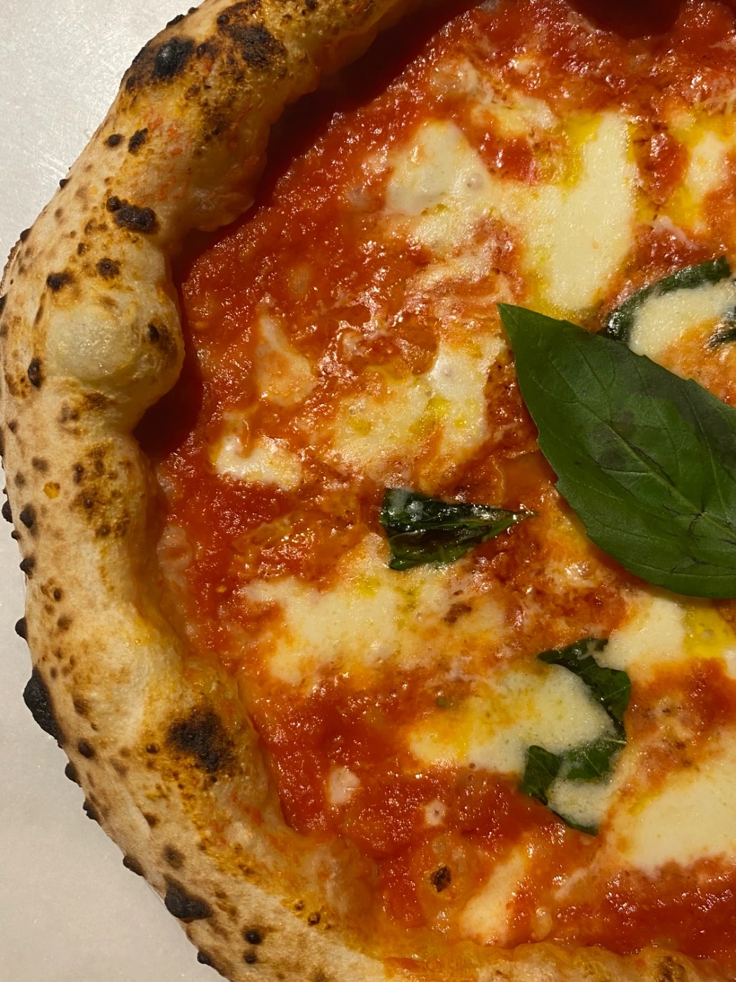 IMG_9806.jpeg IMG_9806.jpeg