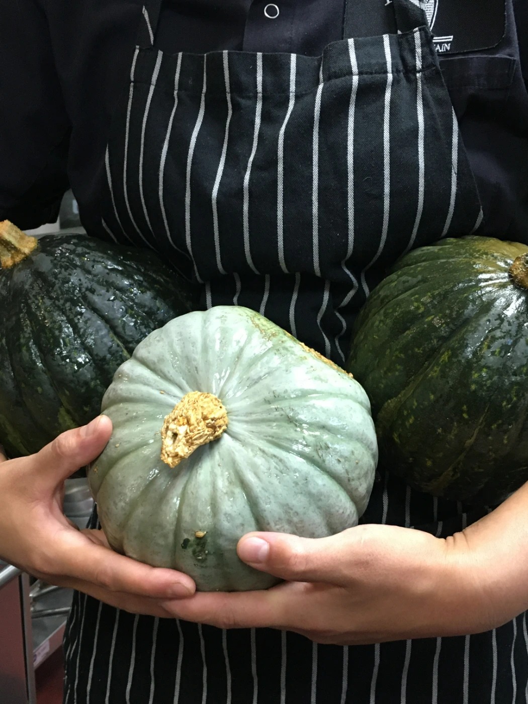 IMG_4565.JPG IMG_4565.JPG