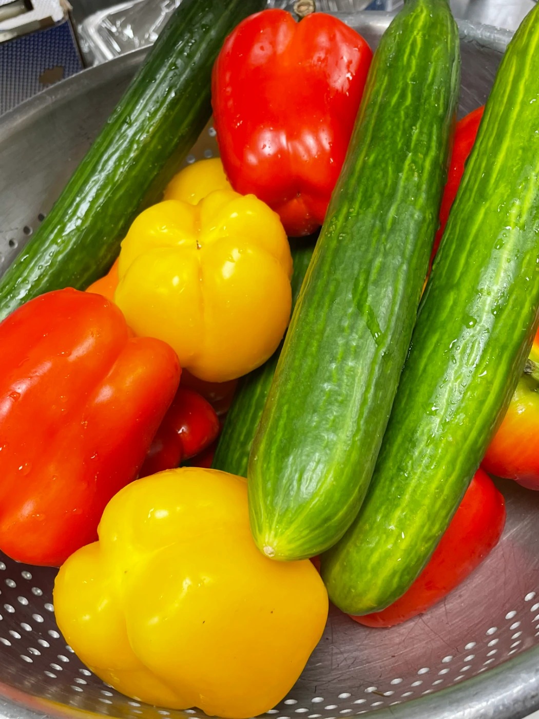 IMG_4901.jpg IMG_4901.jpg