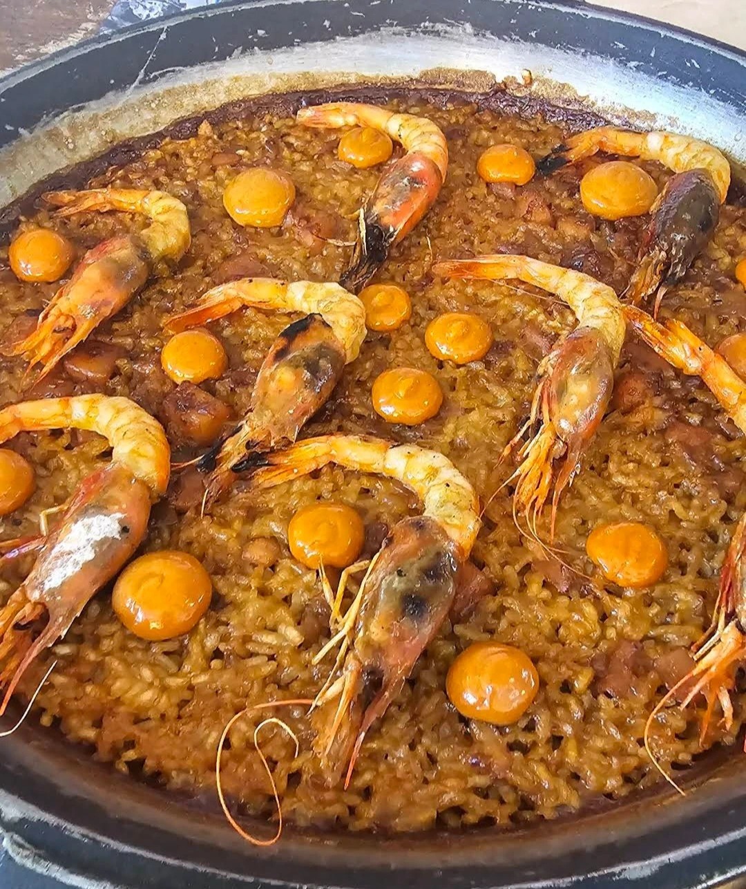 1000023551.jpg 1000023551.jpg