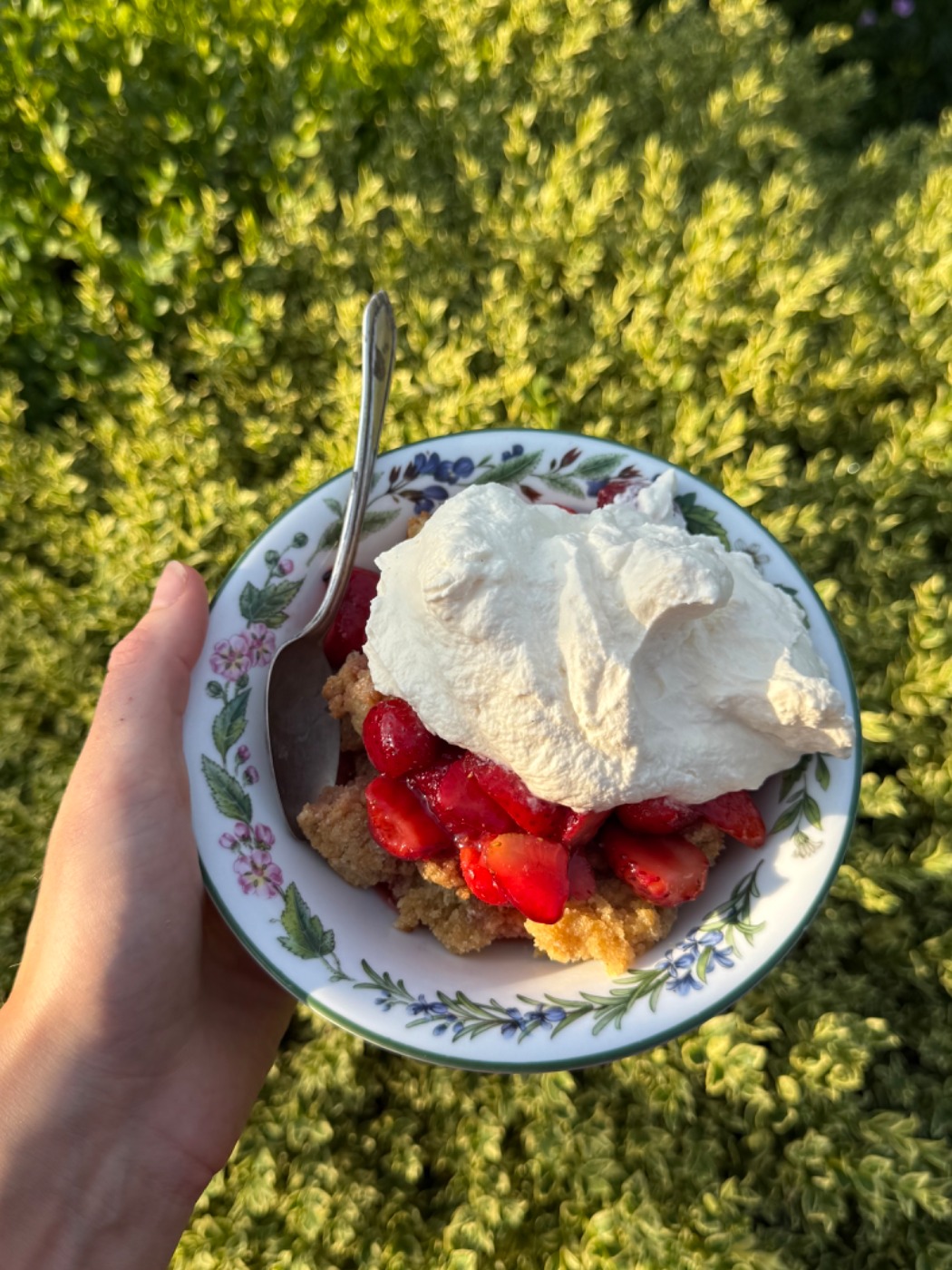 tempImagegYm5N7.jpg tempImagegYm5N7.jpg