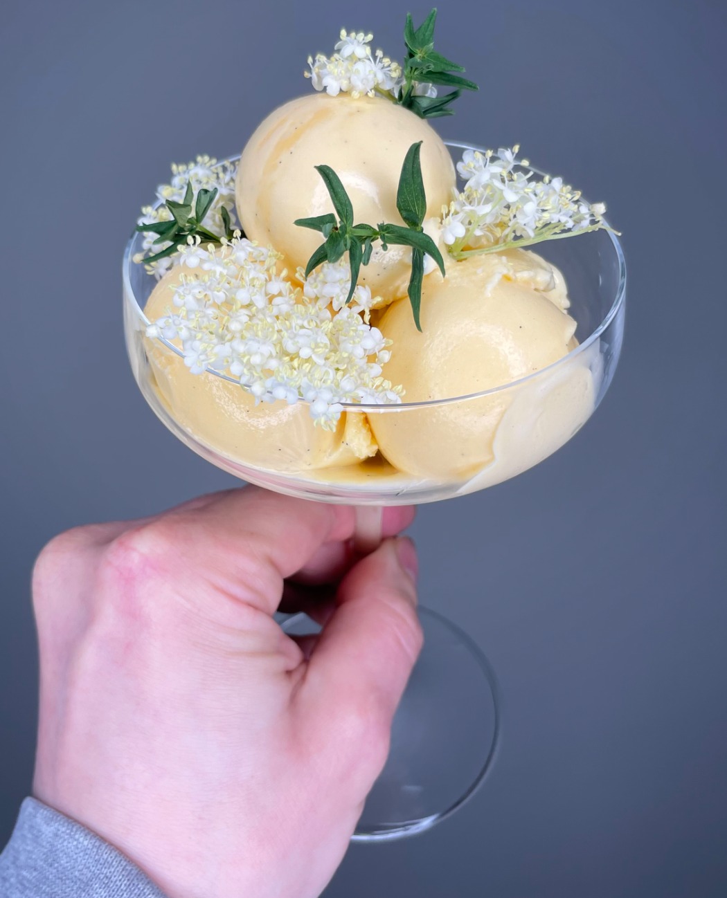 1040881.jpg 1040881.jpg