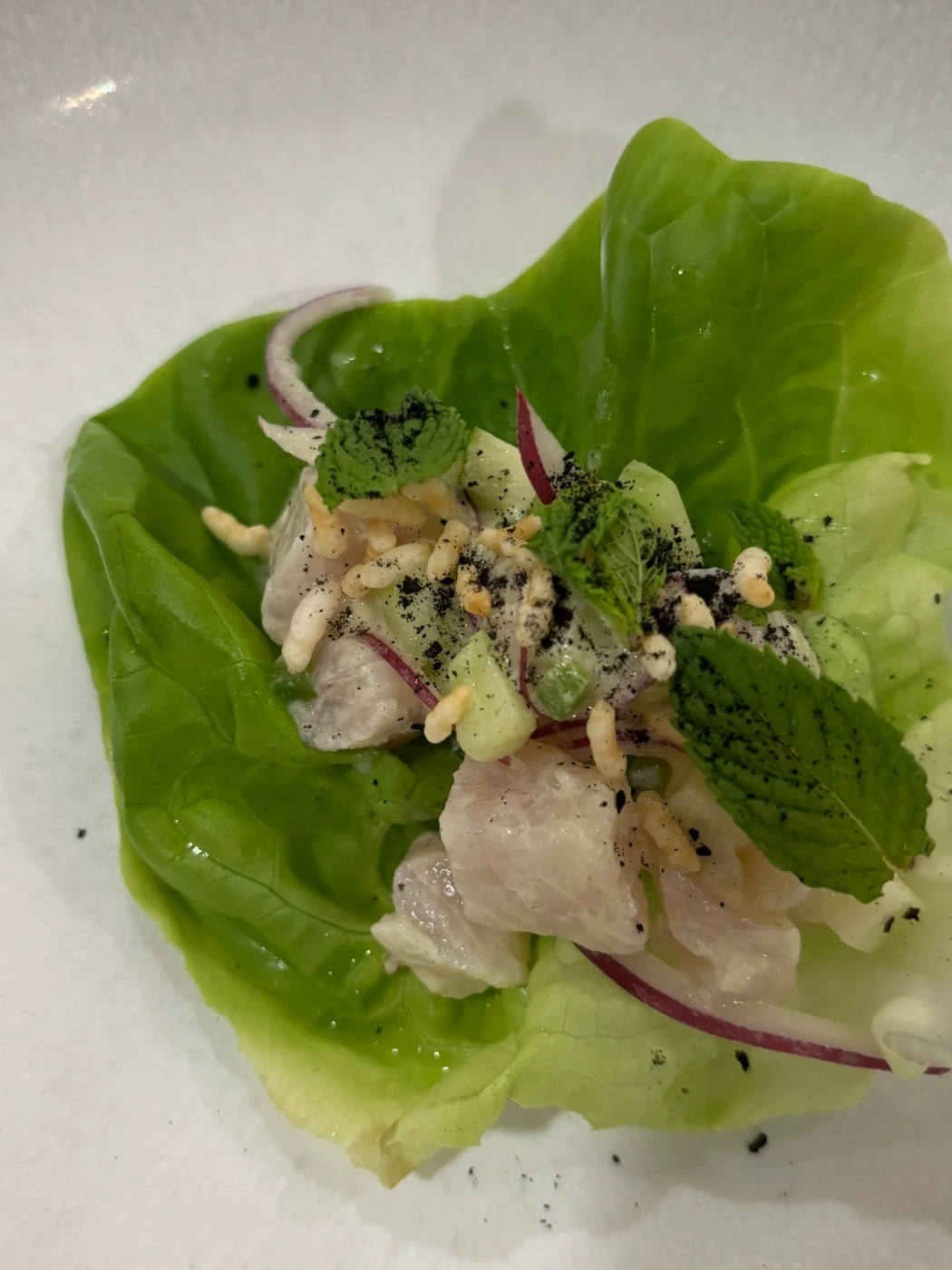 Snapper Ceviche.jpg Snapper Ceviche.jpg