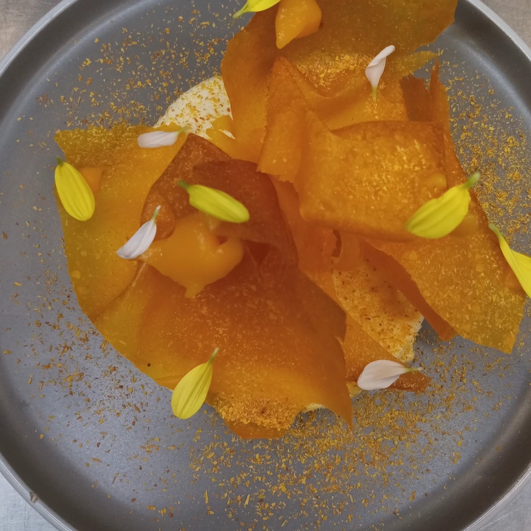 IMG_20250418_203408_584.jpg IMG_20250418_203408_584.jpg