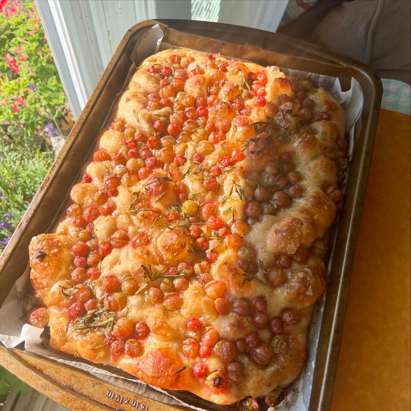 FC0DCF76-E4DC-40E6-A11E-45300C45B0C2 2.JPG FC0DCF76-E4DC-40E6-A11E-45300C45B0C2 2.JPG