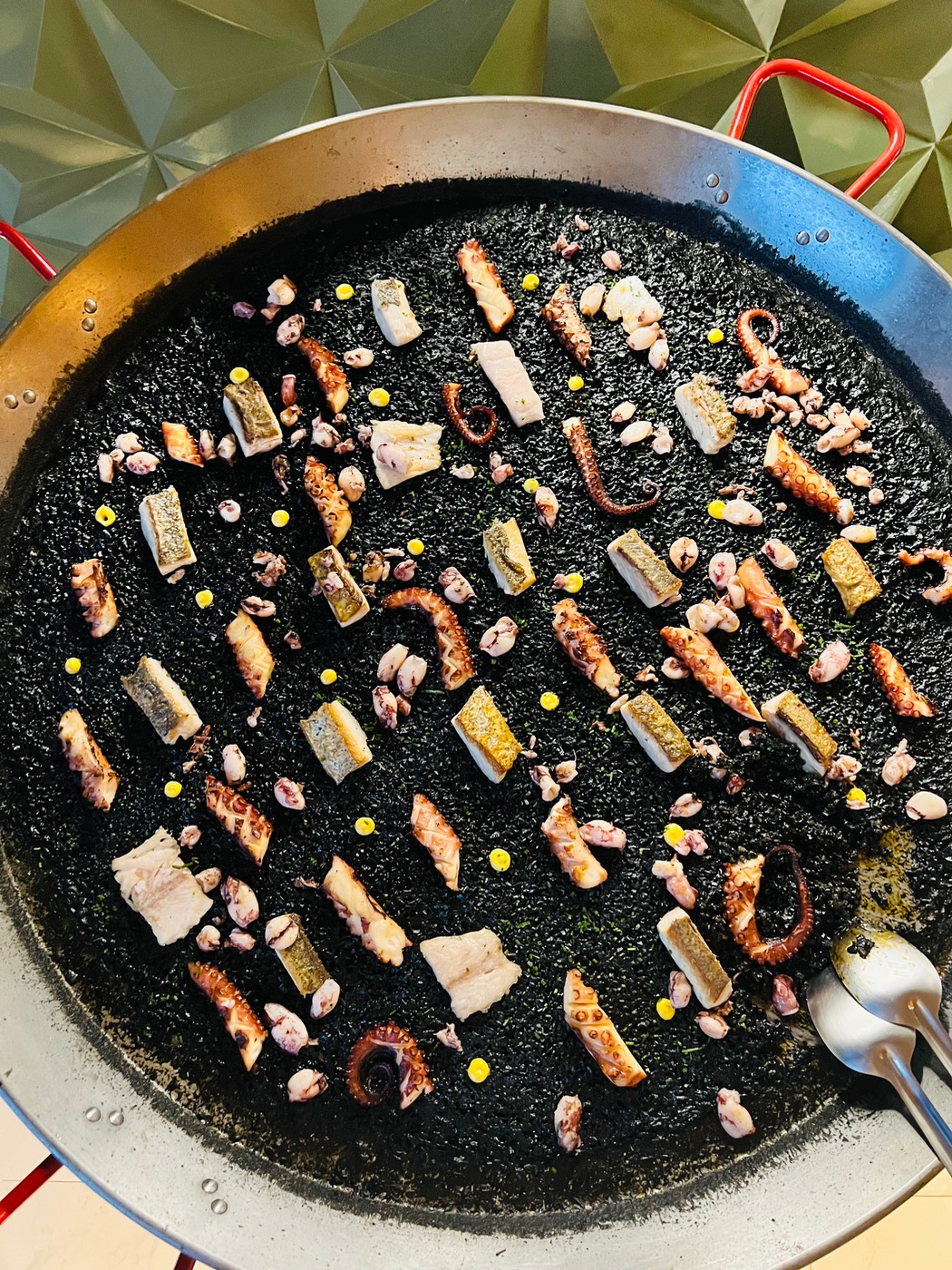 IMG_1068.jpeg IMG_1068.jpeg