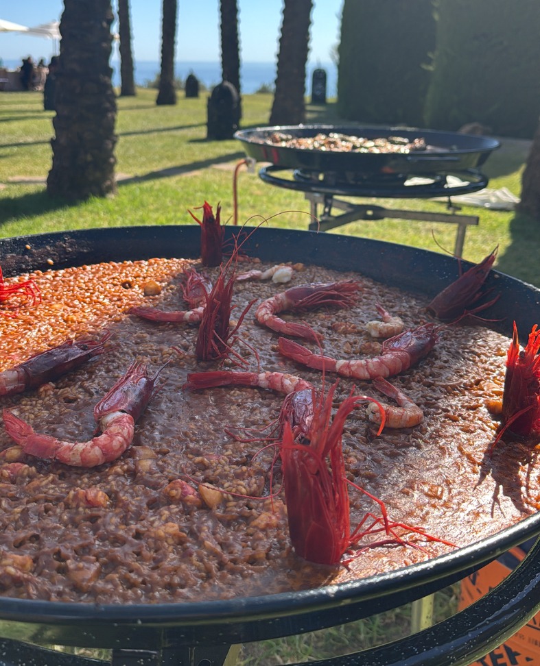 FDBB98F1-FCDB-4007-8796-C82B141E47DB.jpeg FDBB98F1-FCDB-4007-8796-C82B141E47DB.jpeg