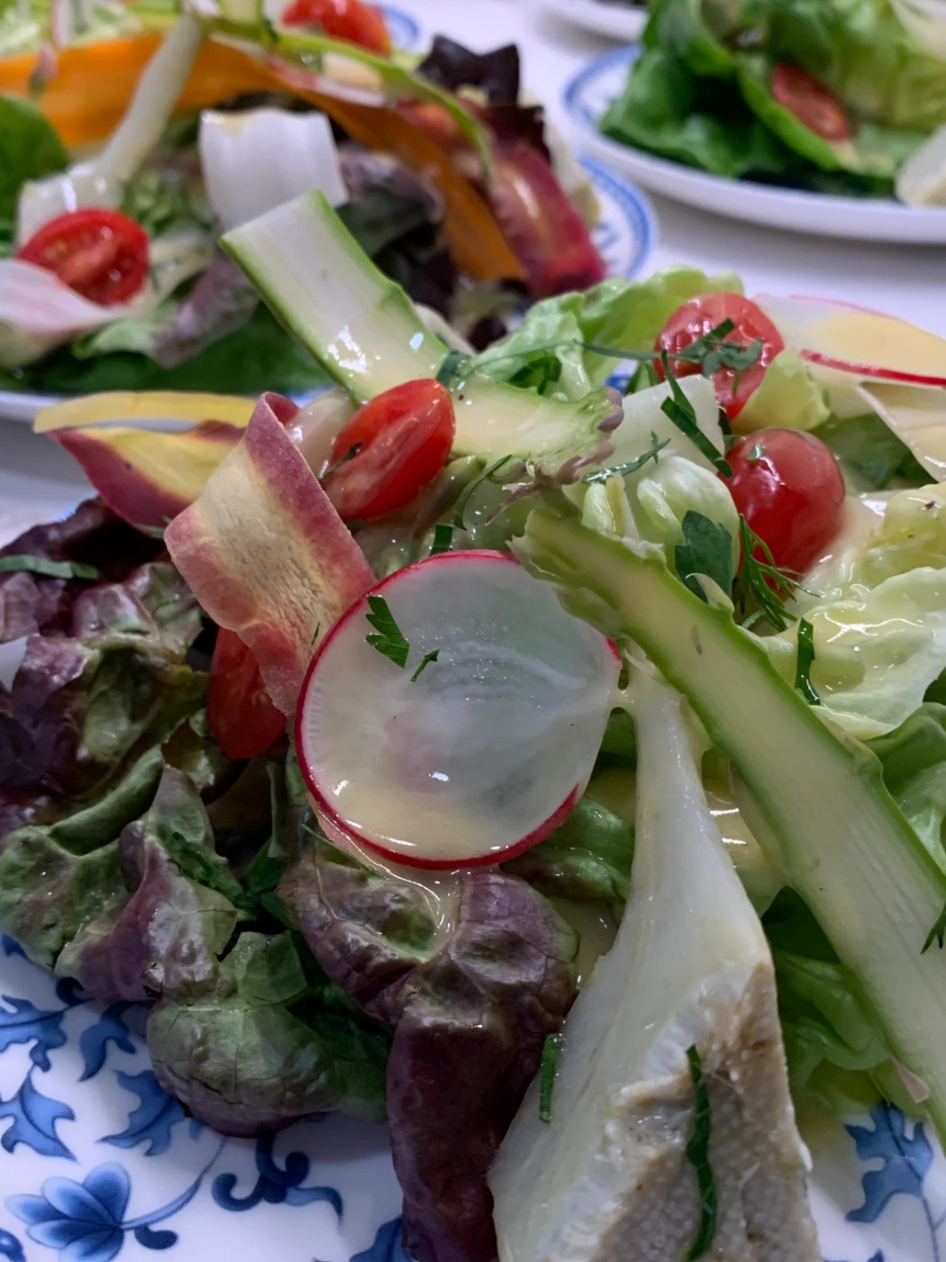 IMG_7773.jpeg IMG_7773.jpeg