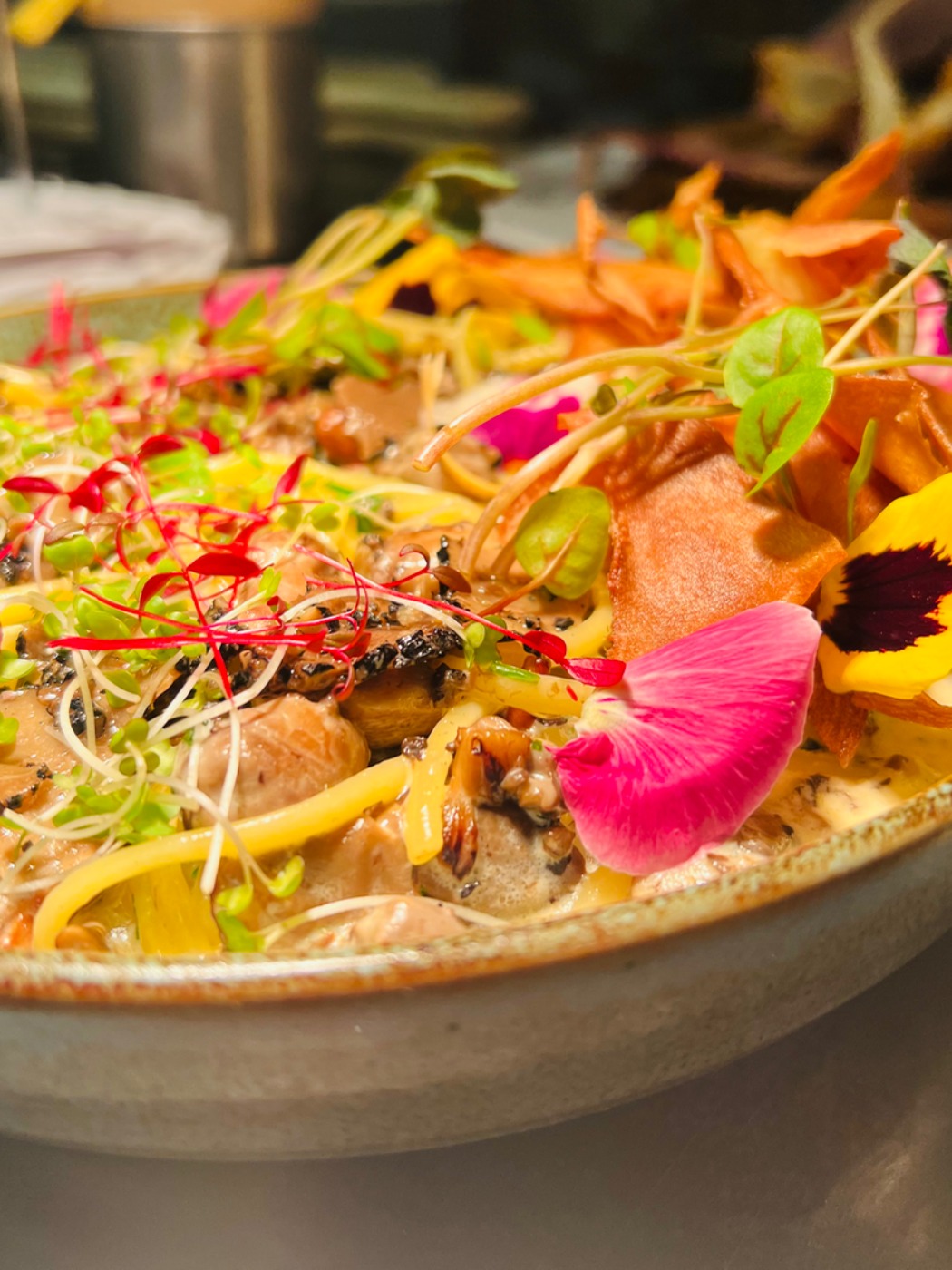 IMG_1179.jpeg IMG_1179.jpeg