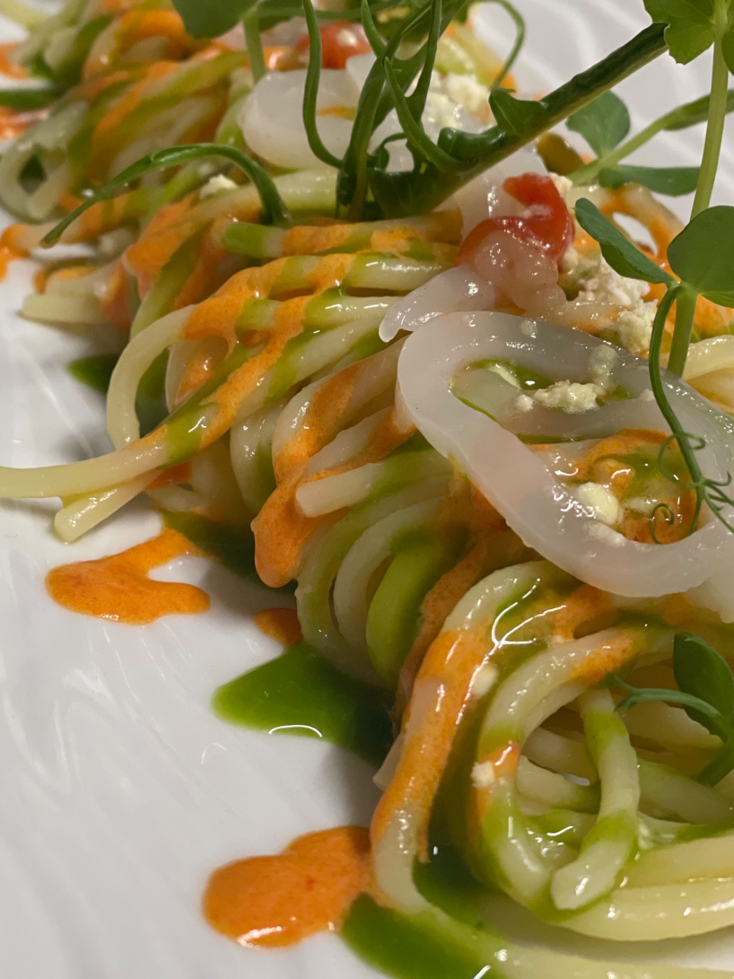 IMG_5552.jpeg IMG_5552.jpeg