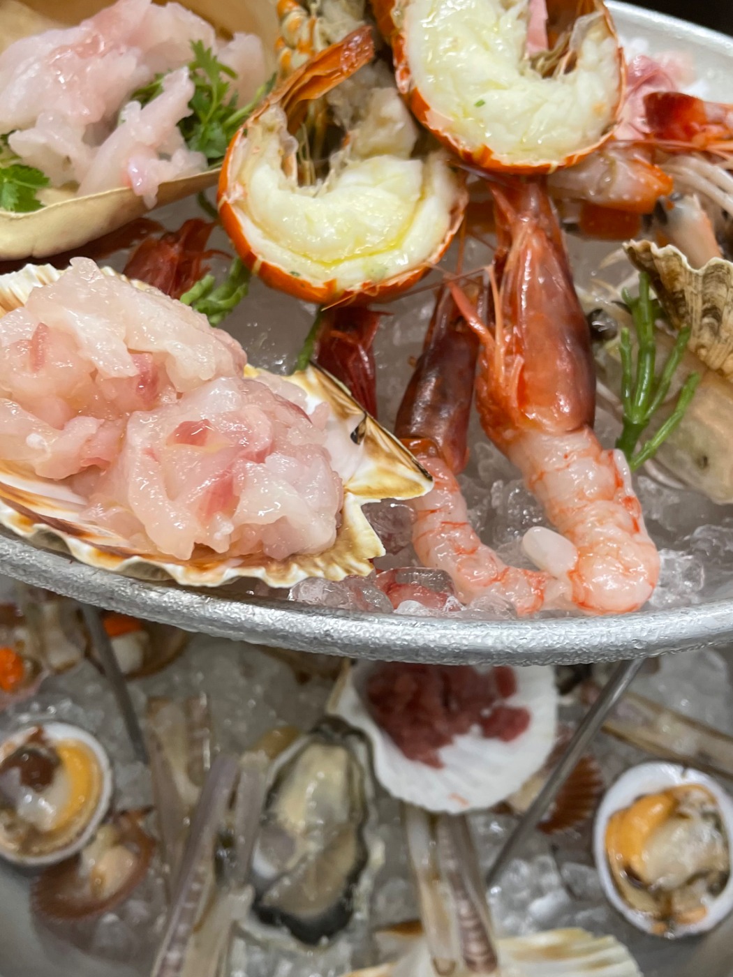 IMG_1581.jpeg IMG_1581.jpeg