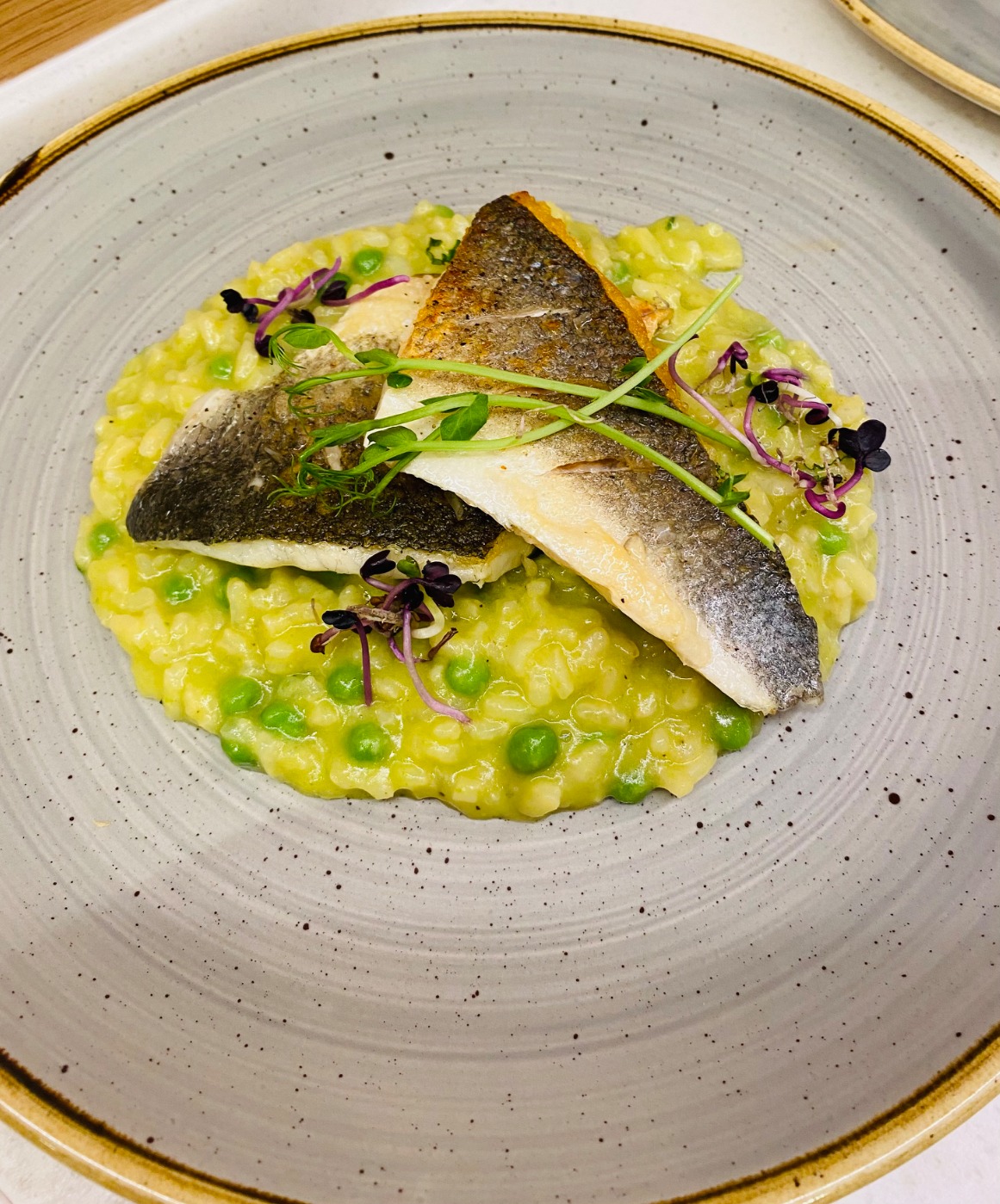 1041914.jpg 1041914.jpg