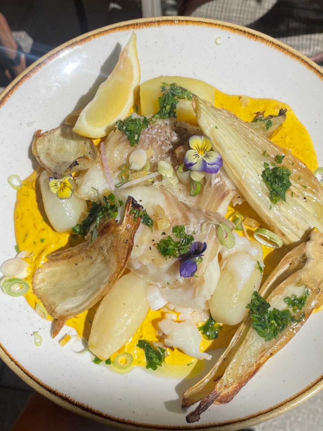 IMG_2912.jpeg IMG_2912.jpeg