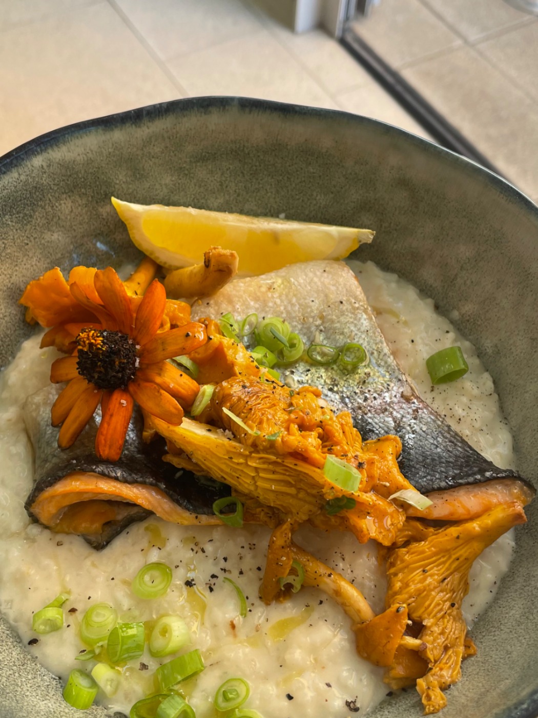 IMG_2652.jpeg IMG_2652.jpeg