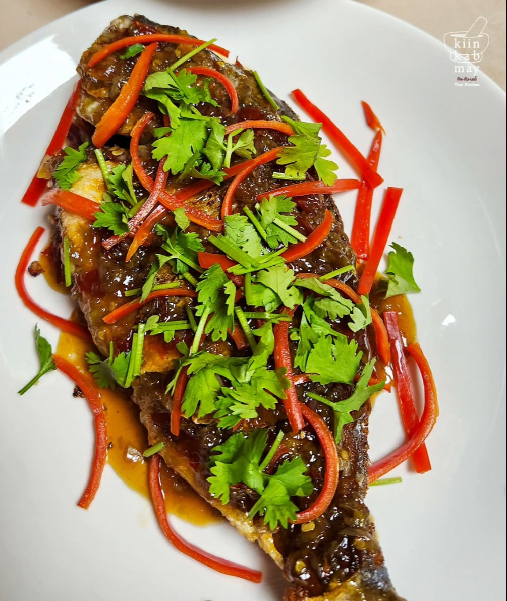 IMG_0106.jpeg IMG_0106.jpeg