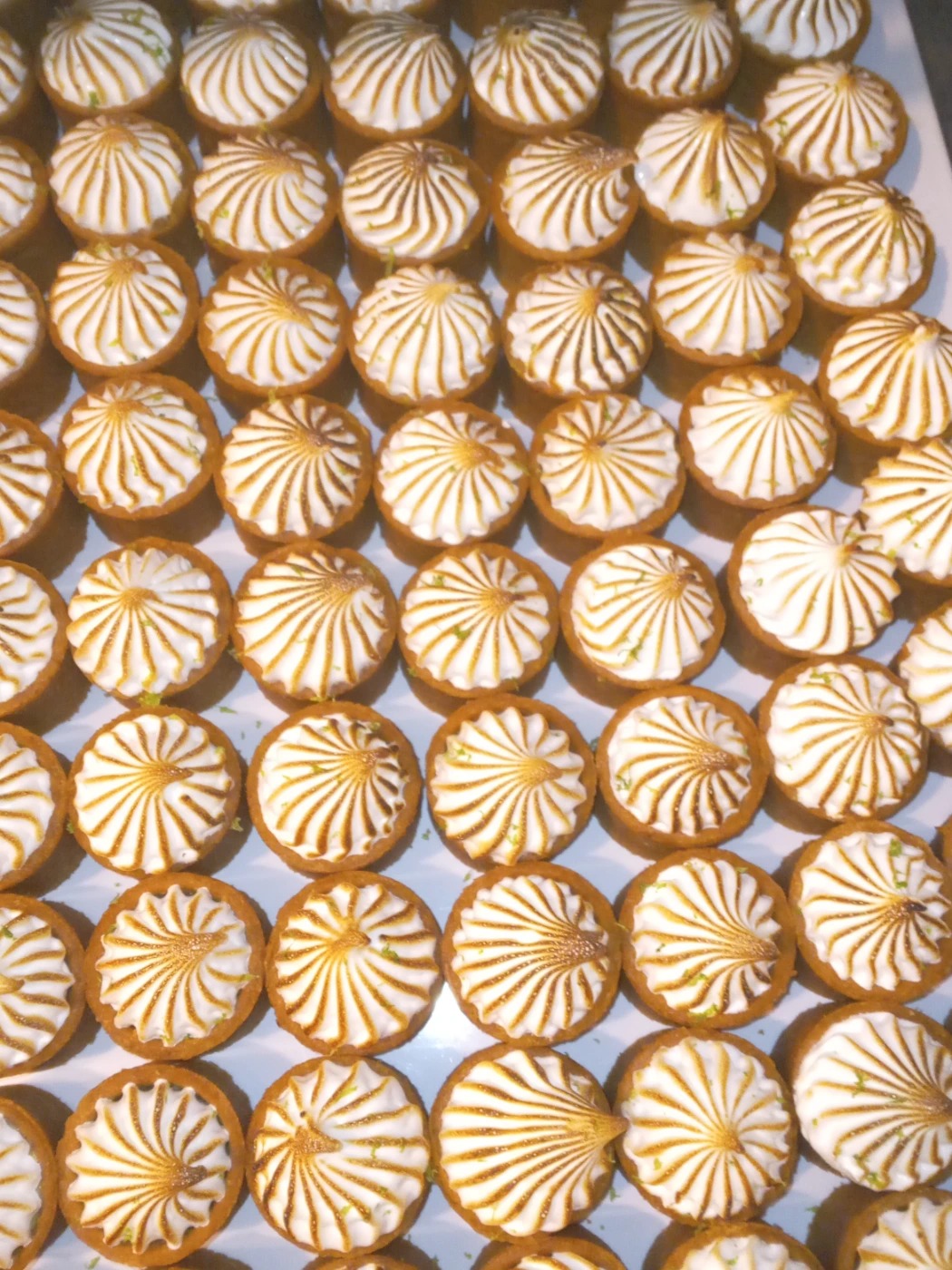 20240927_115113.jpg 20240927_115113.jpg