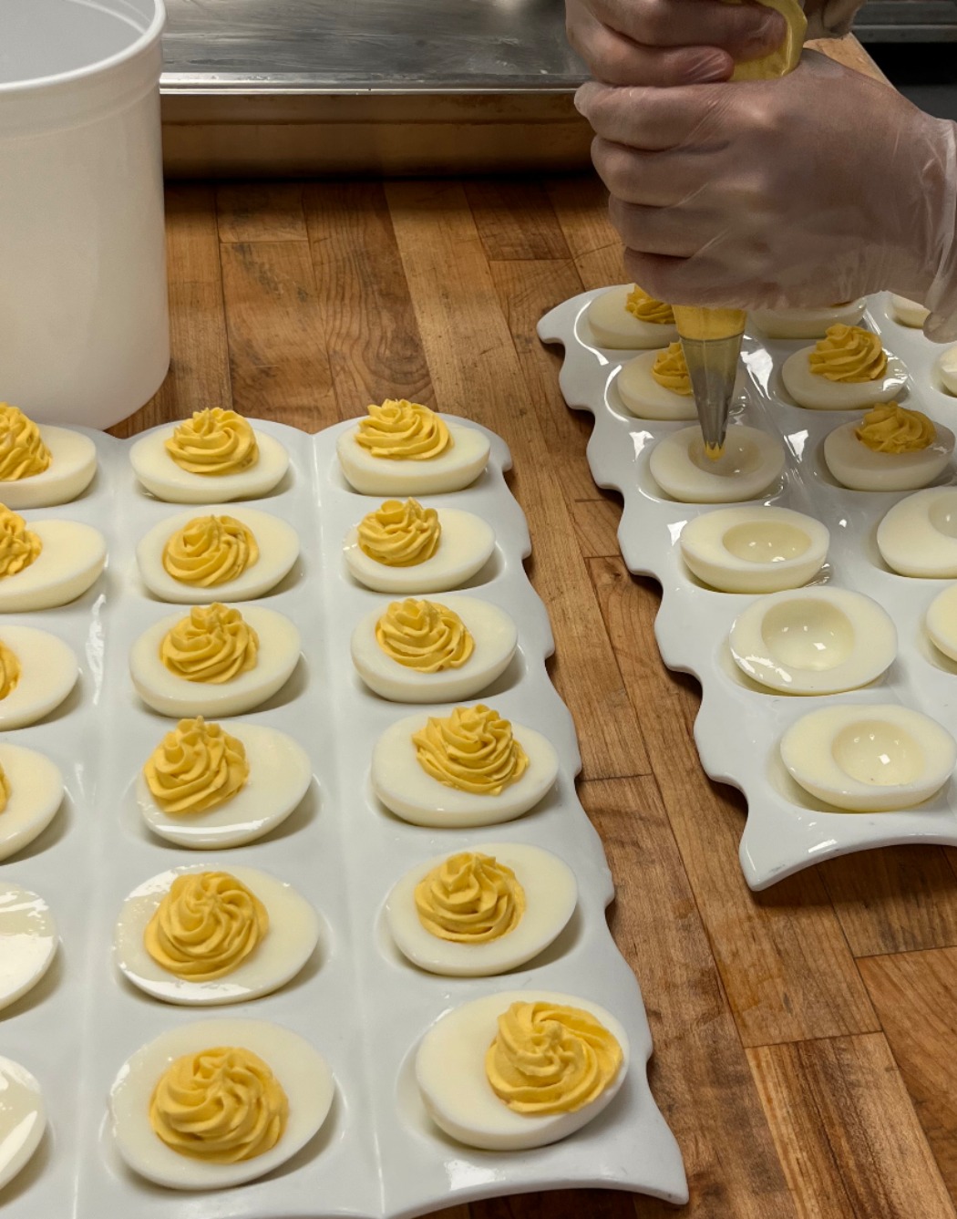 IMG_8013.jpeg IMG_8013.jpeg