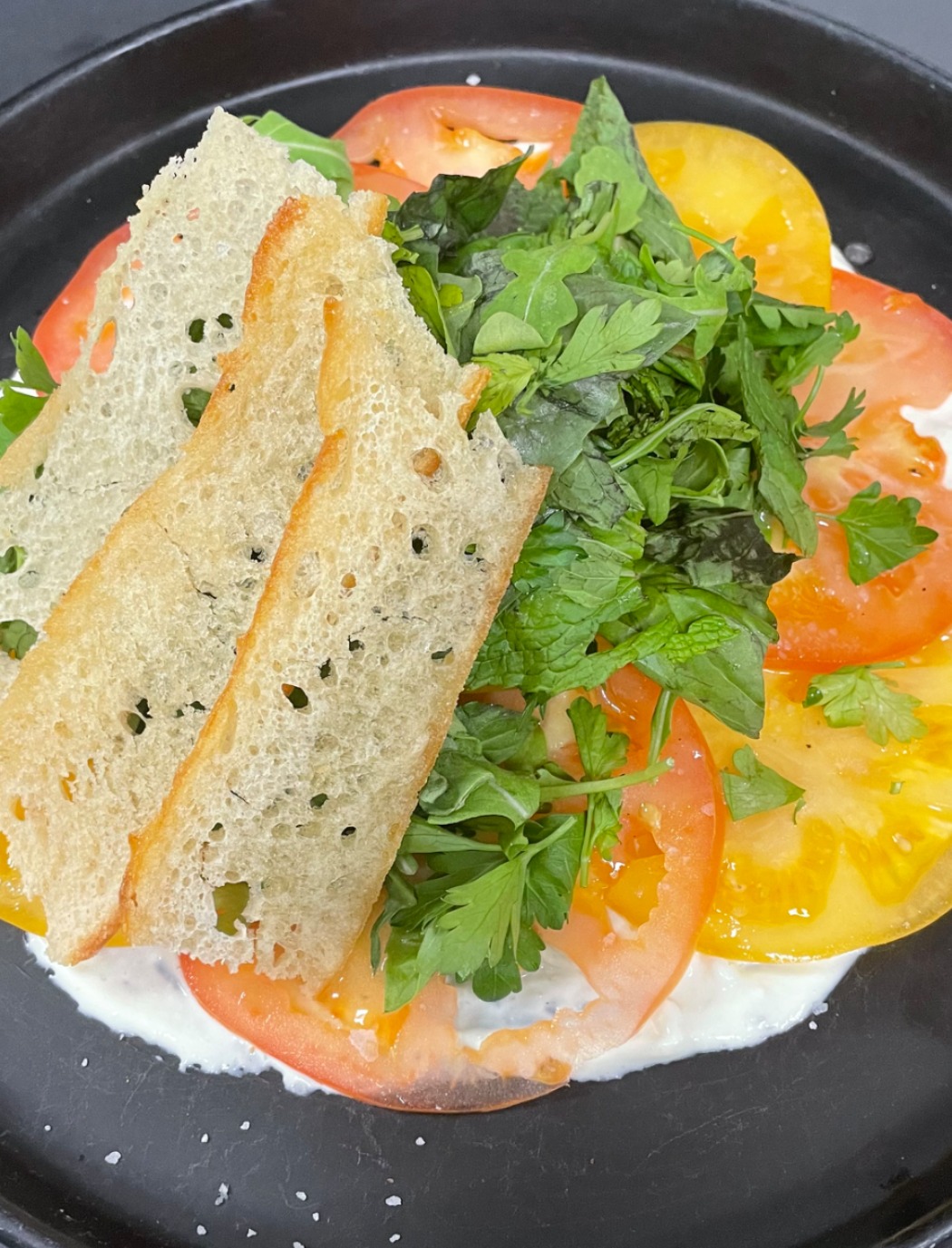 IMG_5702.jpeg IMG_5702.jpeg