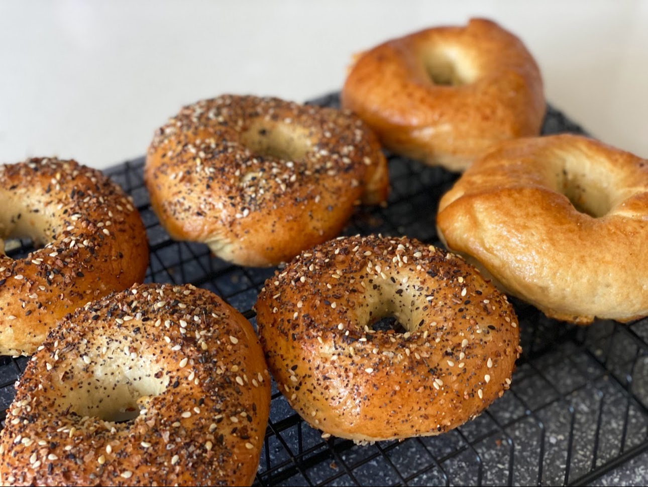 IMG_4775.jpeg IMG_4775.jpeg