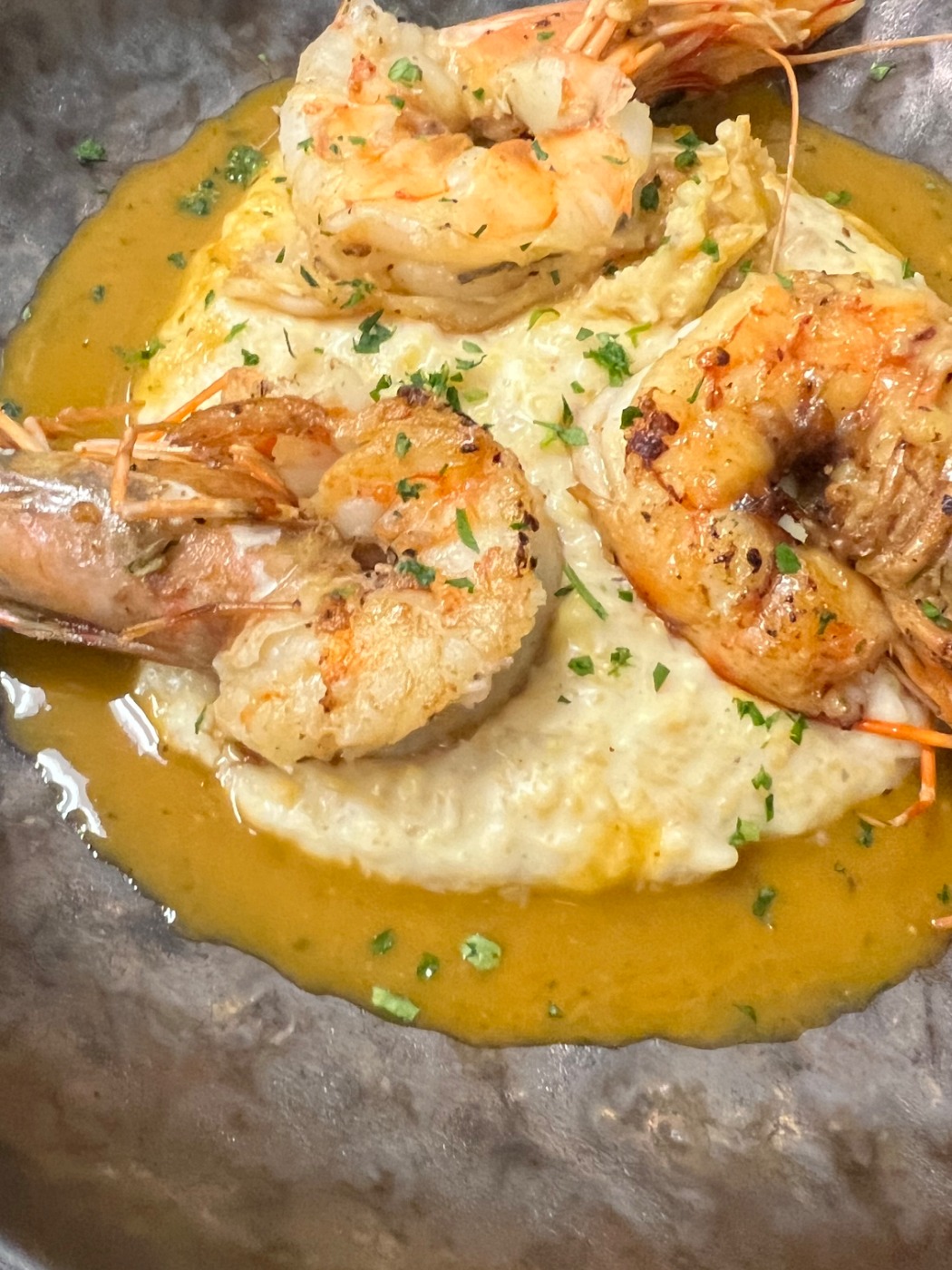 IMG_7510.jpeg IMG_7510.jpeg