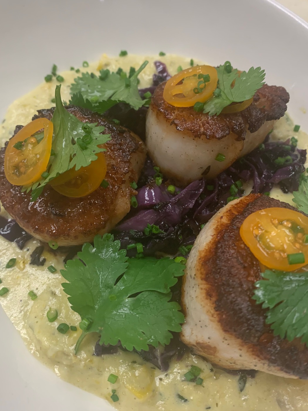 IMG_2081.jpeg IMG_2081.jpeg