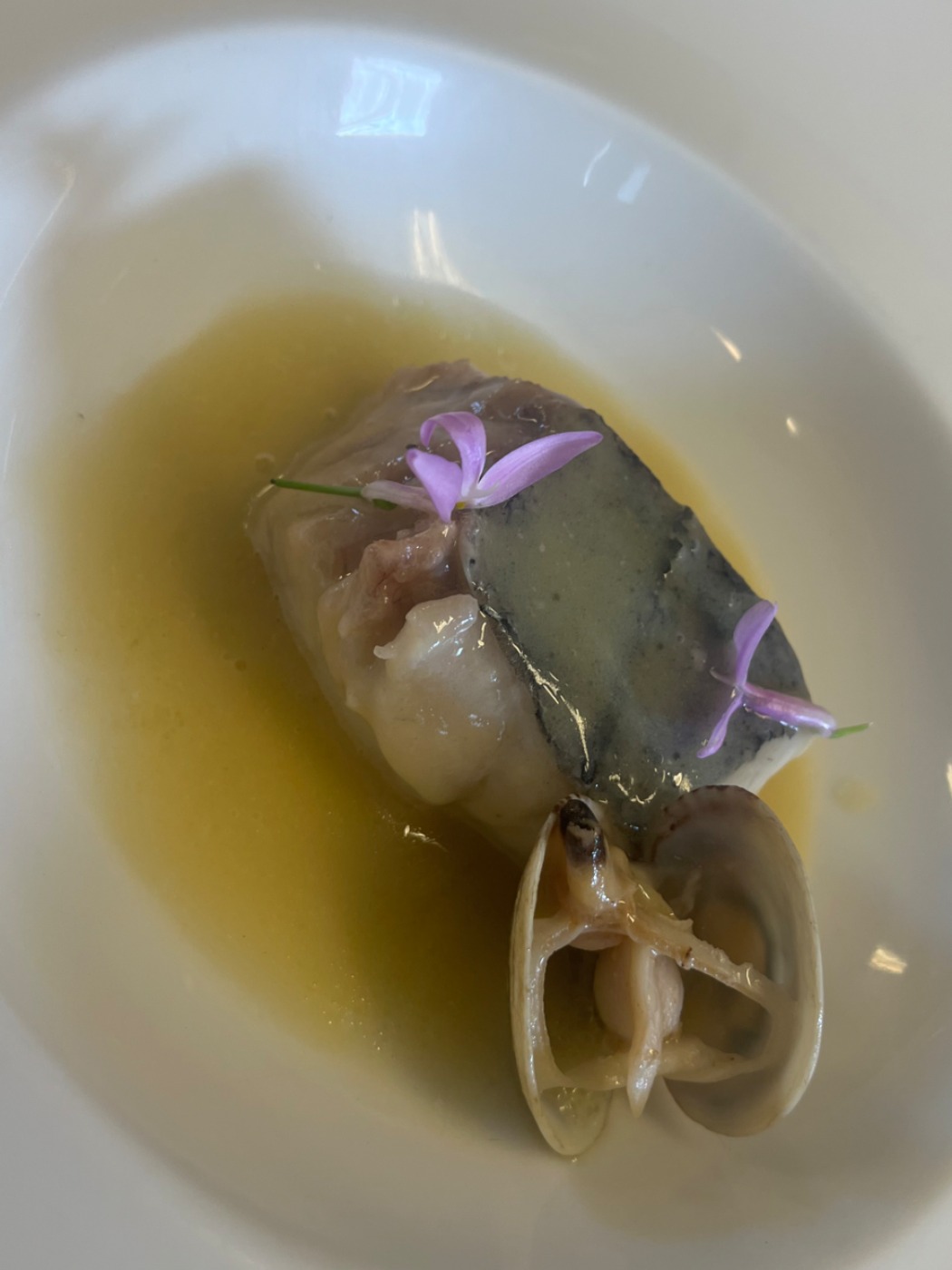 IMG_0432.jpeg IMG_0432.jpeg