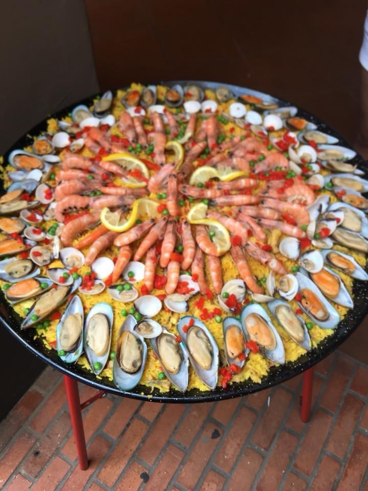 IMG_4805.jpeg IMG_4805.jpeg