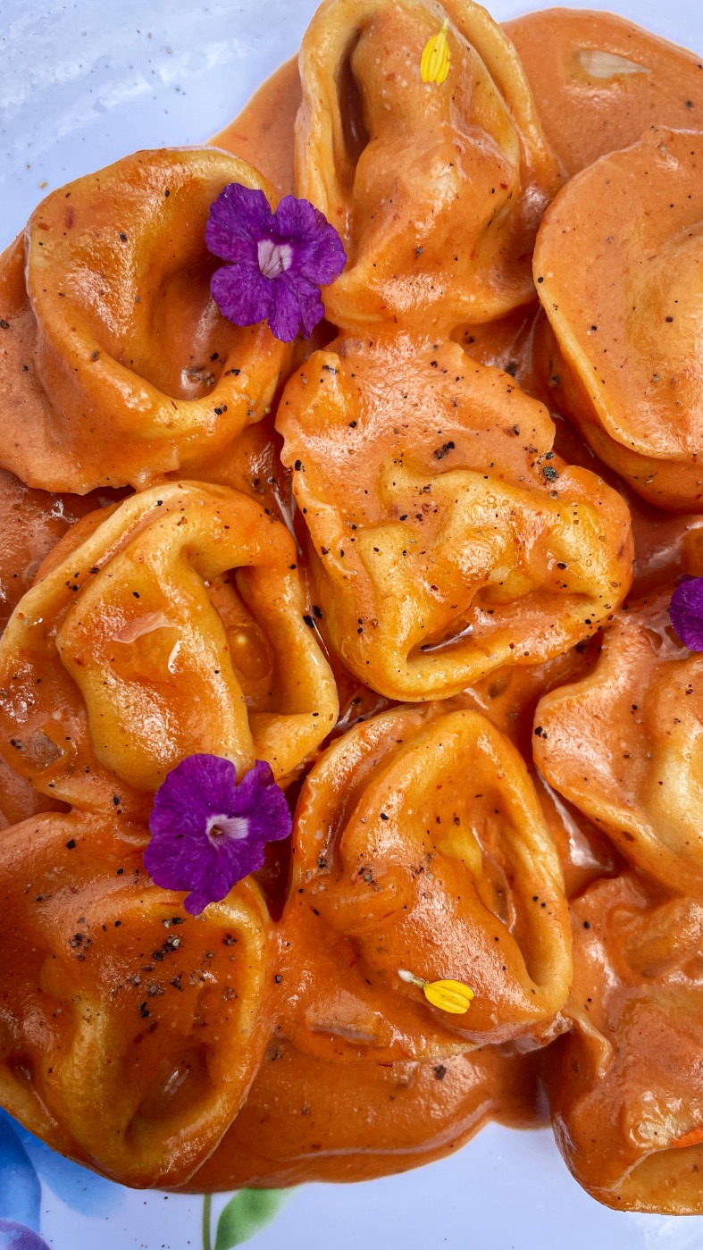 IMG_3786.jpeg IMG_3786.jpeg