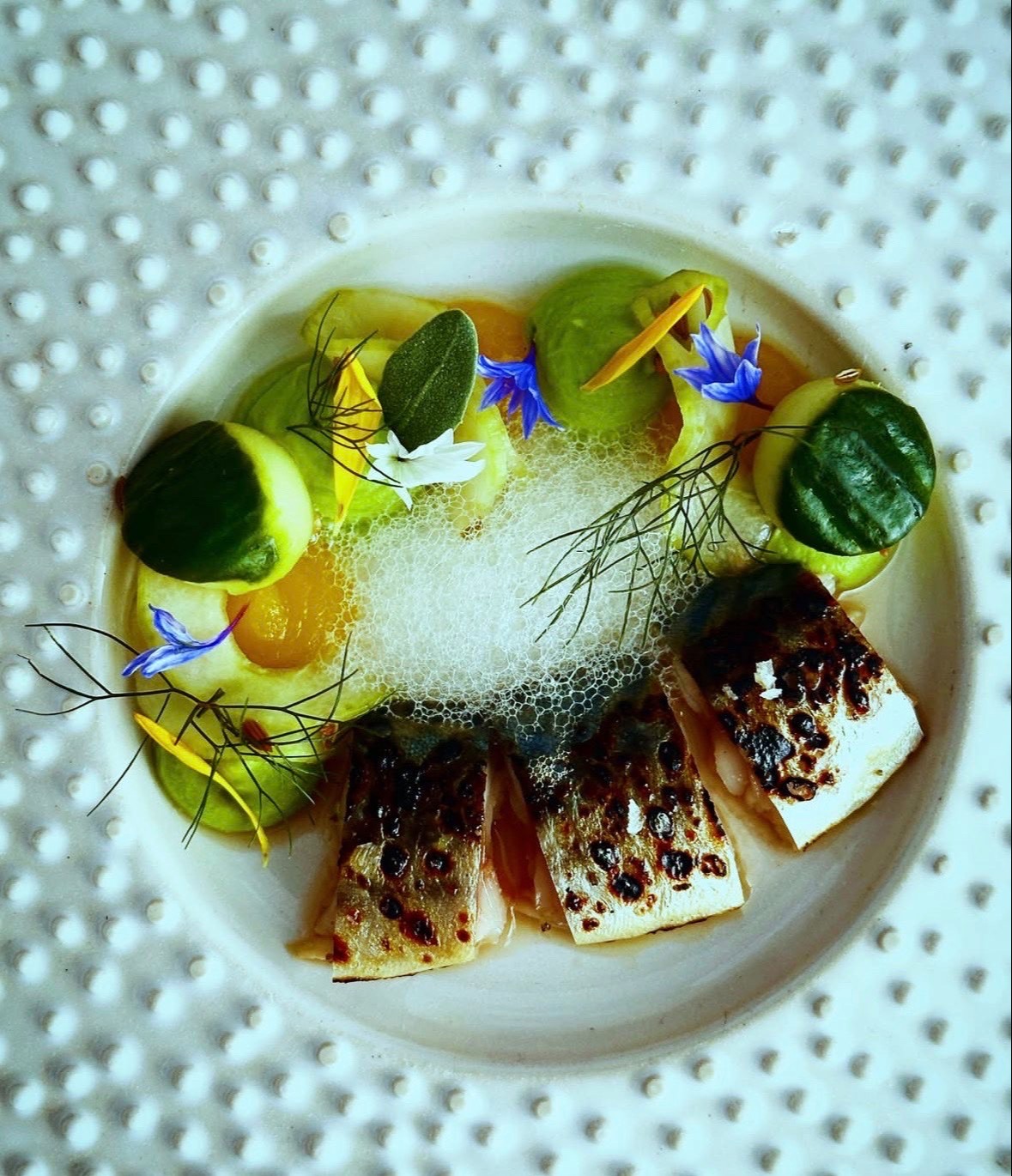 IMG_1992.jpeg IMG_1992.jpeg