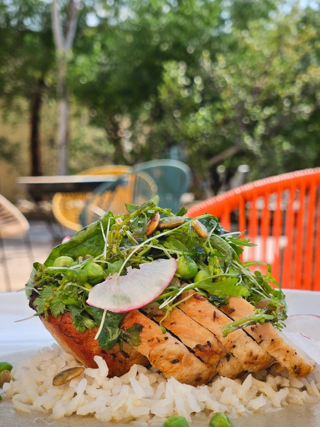 WhatsApp Image 2025-10-06 at 8.29.09 AM.jpeg