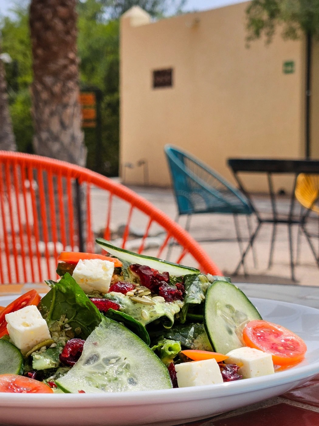 WhatsApp Image 2025-10-06 at 8.29.09 AM (6).jpeg