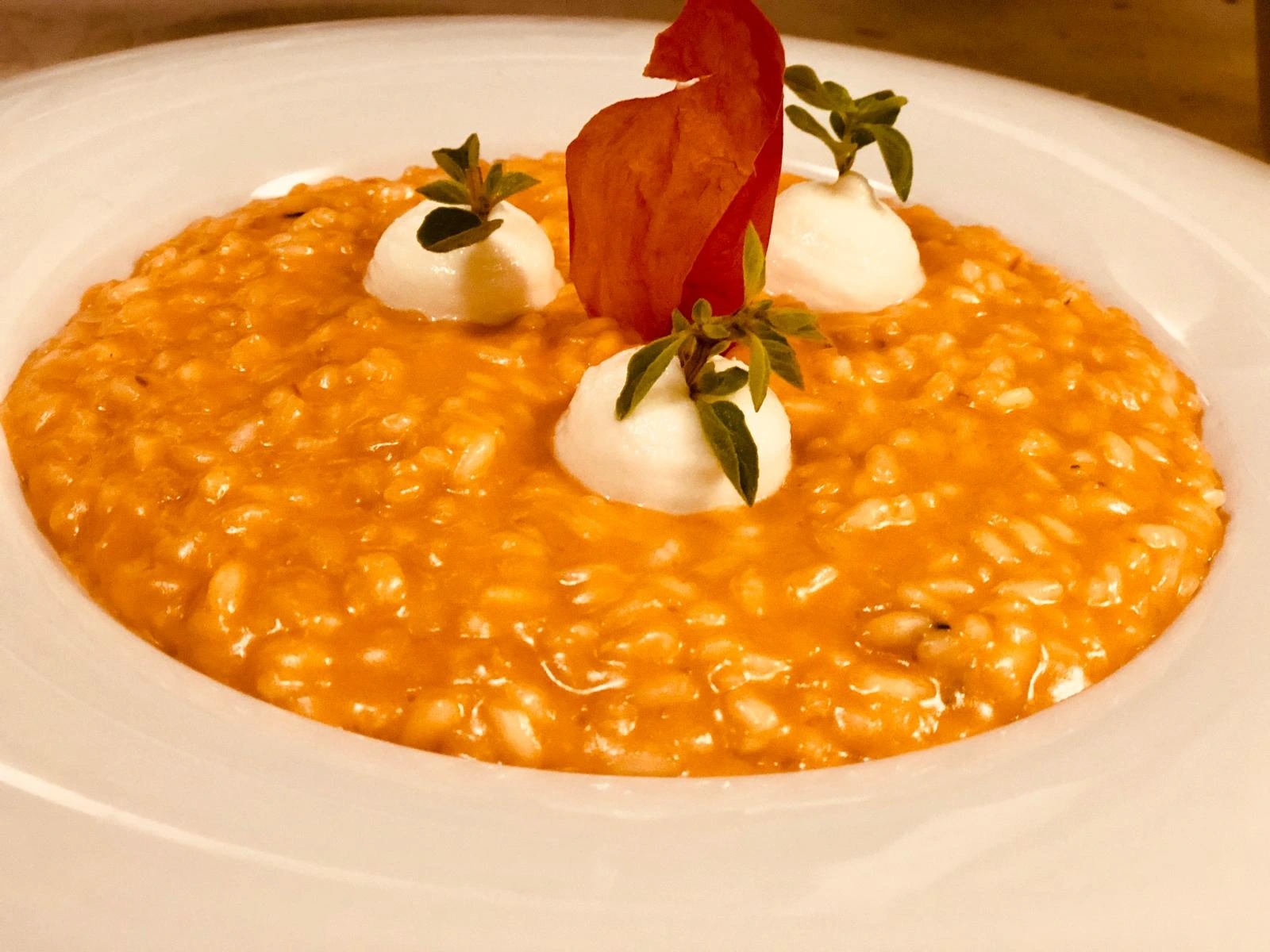 1000116456.jpg 1000116456.jpg