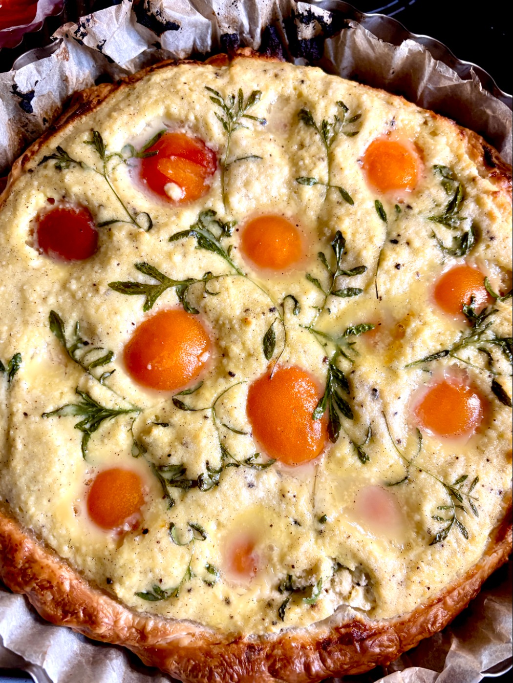 IMG_1218.jpeg IMG_1218.jpeg