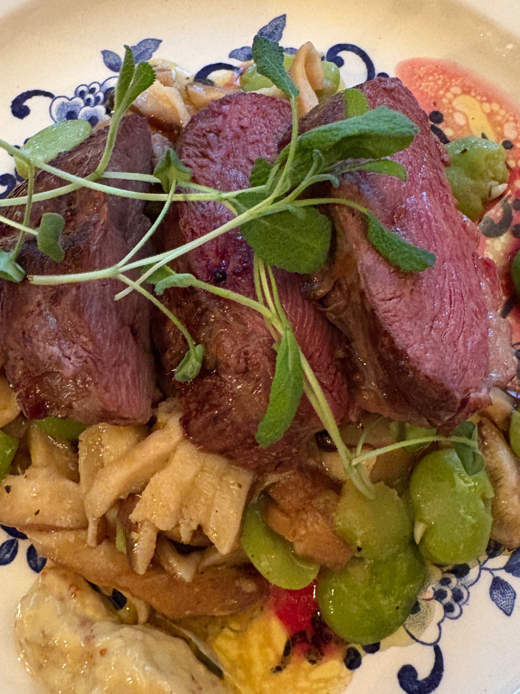 IMG_1221.jpeg IMG_1221.jpeg