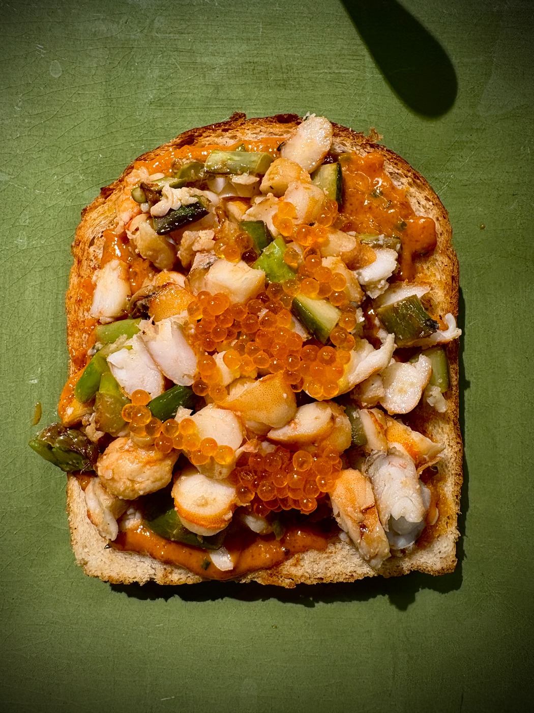 IMG_0556.jpeg IMG_0556.jpeg