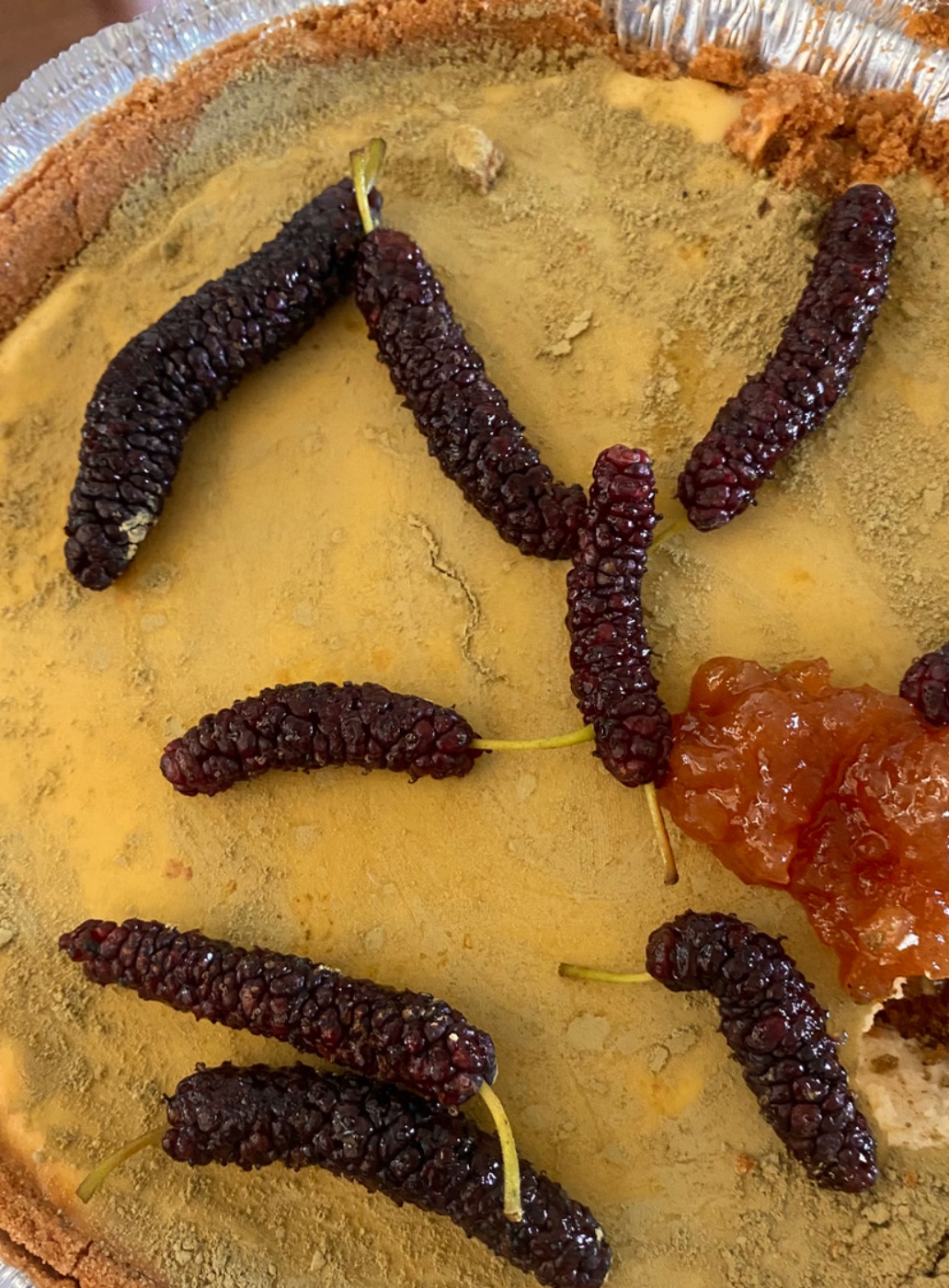 IMG_3557.jpeg IMG_3557.jpeg