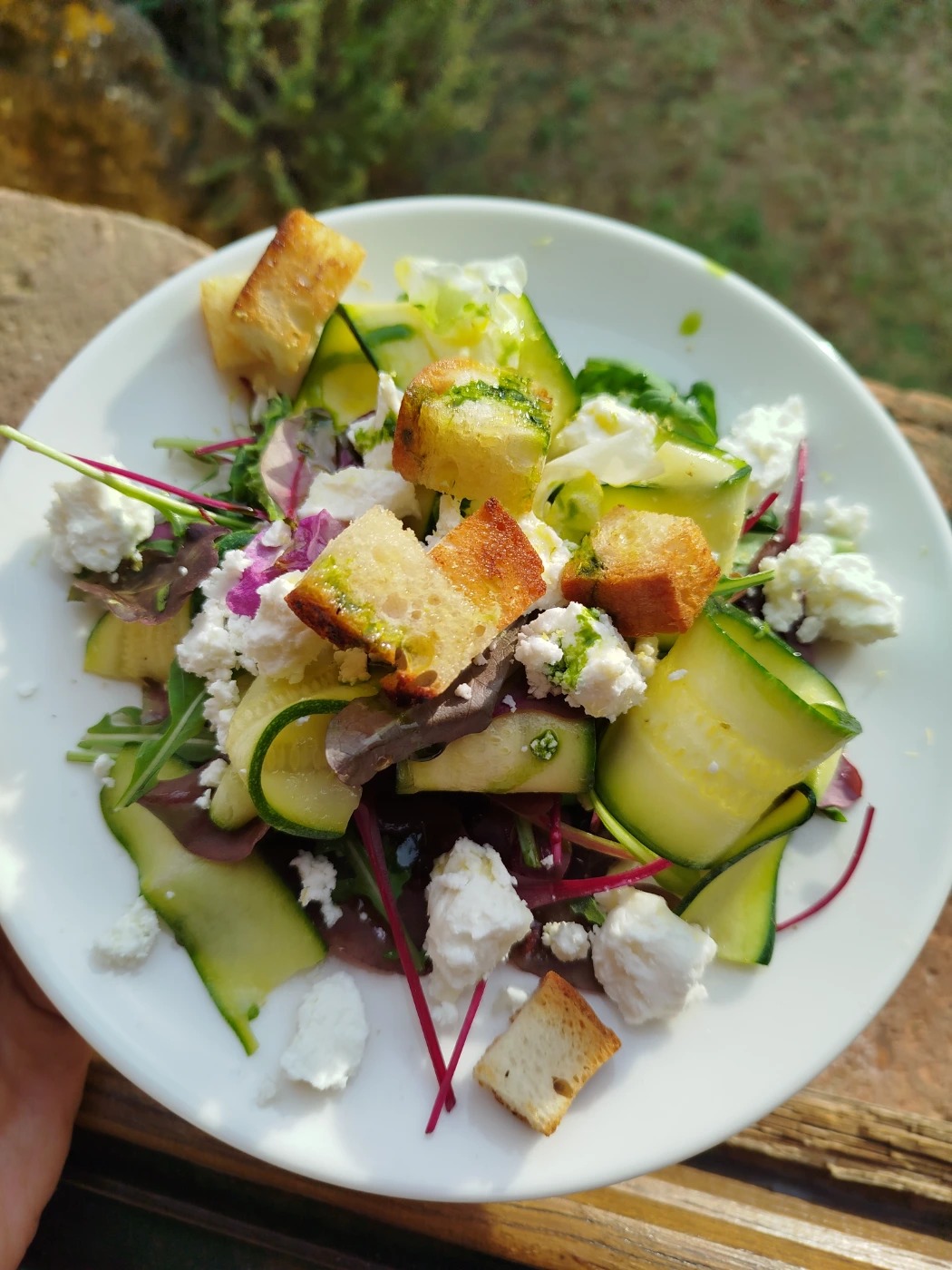 1000088291.jpg 1000088291.jpg